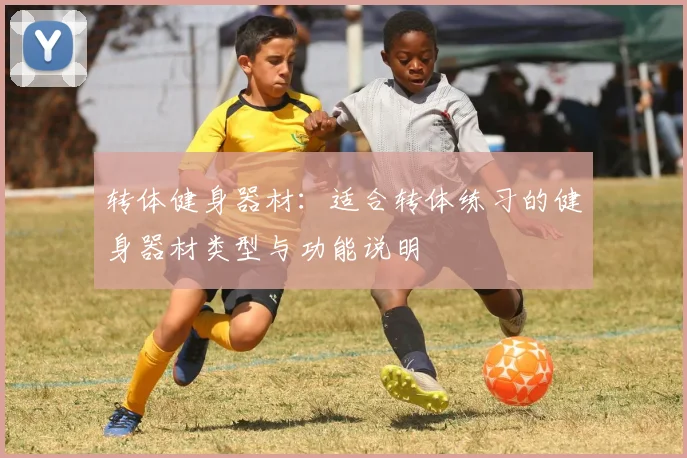 转体健身器材:适合转体练习的健身器材类型与功能说明