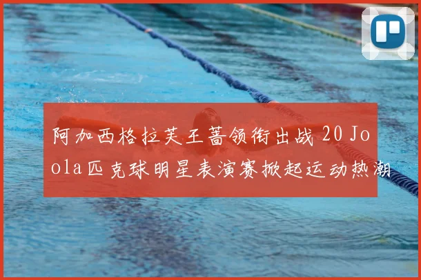 阿加西格拉芙王蔷领衔出战 20 Joola匹克球明星表演赛掀起运动热潮